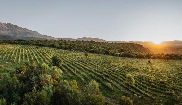 CAMINOS DEL VINO DE CÓRDOBA Entre sierras e historia : una provincia que también se descubre en una copa