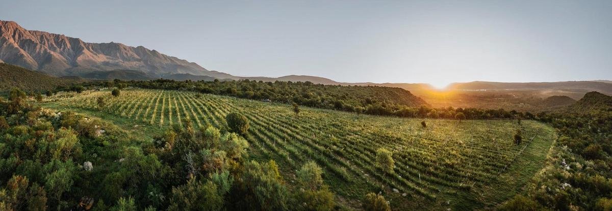 CAMINOS DEL VINO DE CÓRDOBA Entre sierras e historia : una provincia que también se descubre en una copa